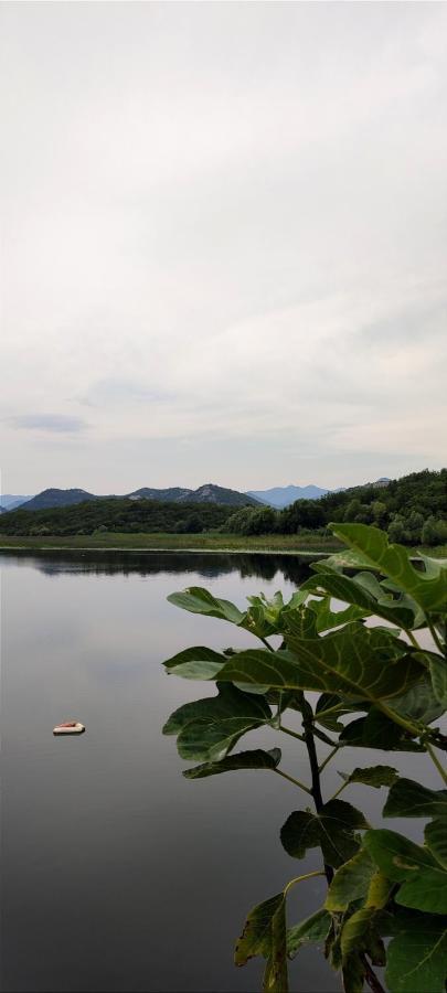 Old House, Skadar Lake 센틴제 외부 사진