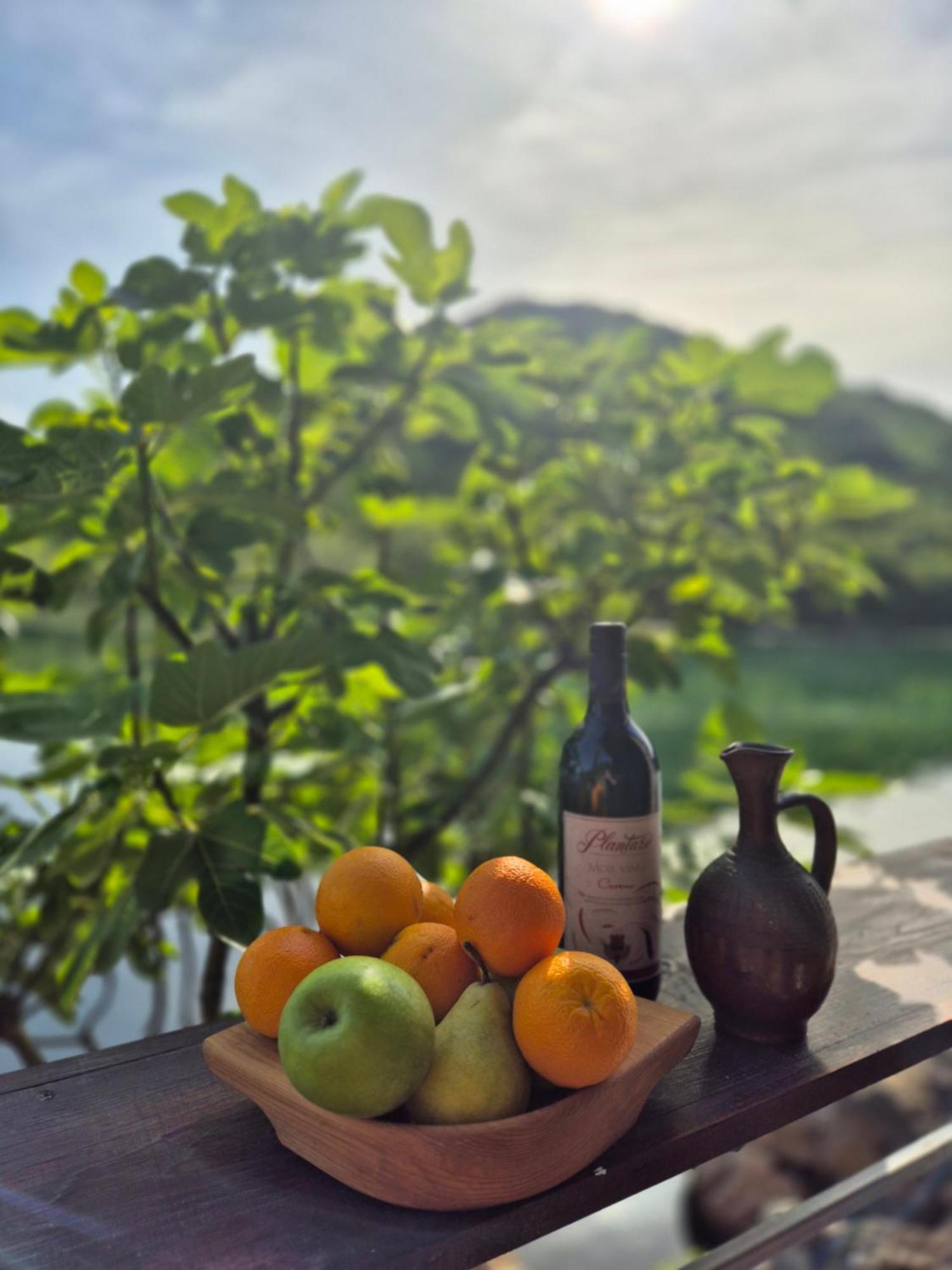 Old House, Skadar Lake 센틴제 외부 사진